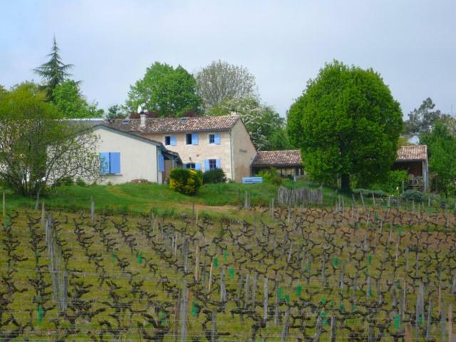 Chateau Regaldo-Saint Blancard Sallebœuf Kültér fotó